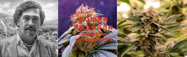 PSILOCYBIN Нефтекумск